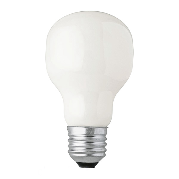T58 clear & frosted incandescent bulb lamp