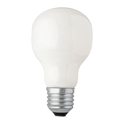 T58 clear & frosted incandescent bulb lamp